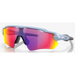 Oakley Radar Ev Path Matte Stonewash lente Prizm Road OO9208-E738