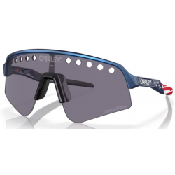Oakley Sutro Lite Sweep Troy Lee Designs Blue Colorshift prizm grey
