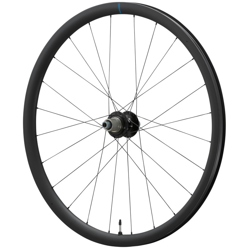 Shimano Grx WH-RX880-TL Carbon Centerlock Micro Spline par de ruedas