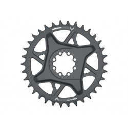 Sram Gx Eagle T-Type Direct Mount 12V Offset 3mm 34D plato - envío 24h