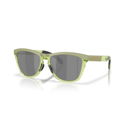 Oakley Frogskins Range XL opaco felce/trasparente felce Lente prizm nera