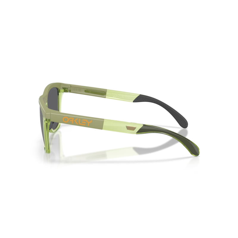 Oakley Frogskins Range XL opaco felce/trasparente felce Lente prizm nera