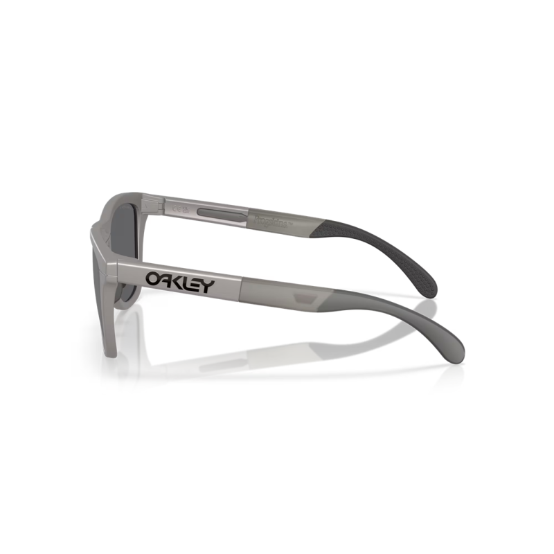Oakley Frogskins Range titanium Lentes prizm black polarized 928423