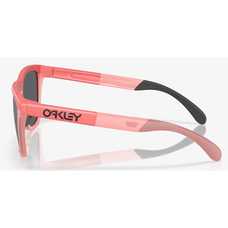 Oakley Frogskins Range Velocity Collection Lente prizm black polarized