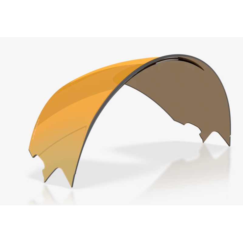 Oakley Meta Vanguard lentes Prizm 24K replacement lens - envío 24h