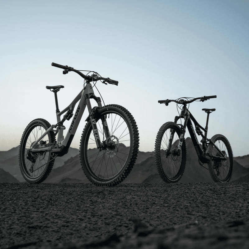 Amflow PX Carbon Pro 2027 | eBike Carbono 150Nm Trail-Enduro