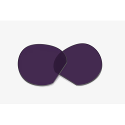 Oakley Meta HSTN Lenti Transitions Amethyst - spedizione 24h