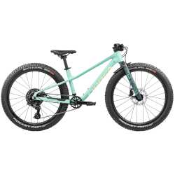 Orbea Kimu 24 H10 2027 | Bicicletta Infantile MTB 24" - Spedizione 24h
